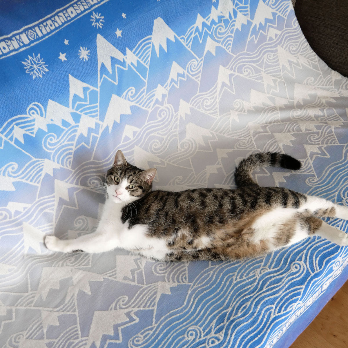 MISTY MOUNTAINS™ Aduial Blanket